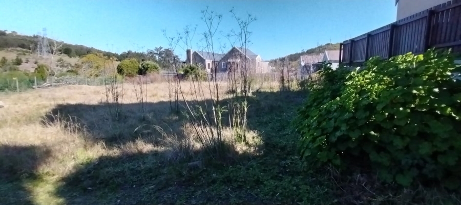 0 Bedroom Property for Sale in Green Pastures Western Cape